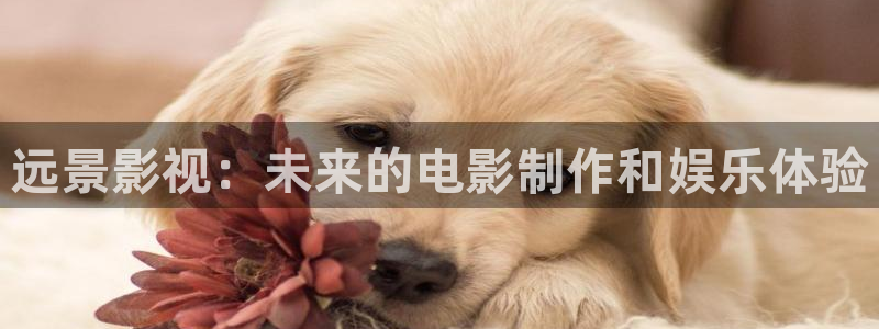 无颜之月天龙影院：远景影视：未来的电影制作和娱乐体验