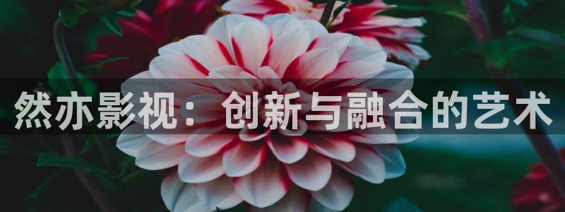免费天龙影院：然亦影视：创新与融合的艺术