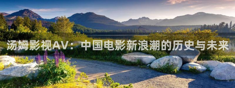 天龙影院2024年最新款：汤姆影视AV：中国电影新浪潮的历史与未来
