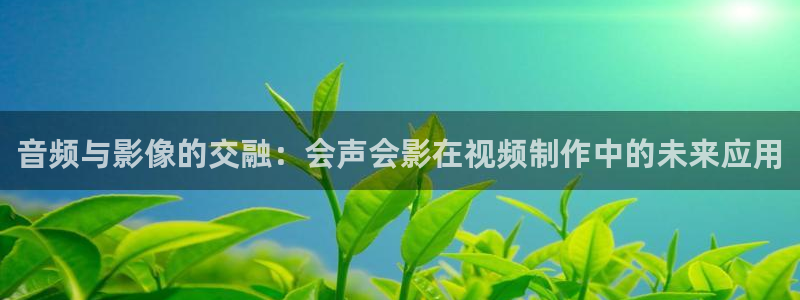 天龙影院高清：音频与影像的交融：会声会影在视频制作中的未来应用
