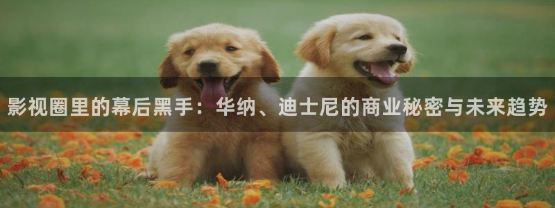 天龙影视影院：影视圈里的幕后黑手：华纳、迪士尼的商业秘密与未来趋势