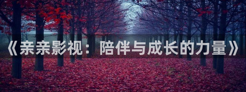 天龙家庭影院音响：《亲亲影视：陪伴与成长的力量》