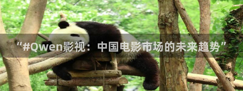 天龙影视免费：“#Qwen影视：中国电影市场的未来趋势”