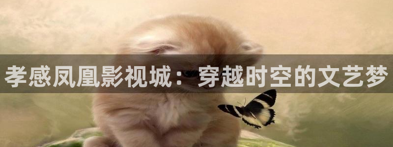 天龙影院免费：孝感凤凰影视城：穿越时空的文艺梦