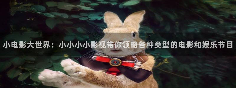 天龙影院手机免费：小电影大世界：小小小小影视带你领略各种类型的电影和娱乐节目