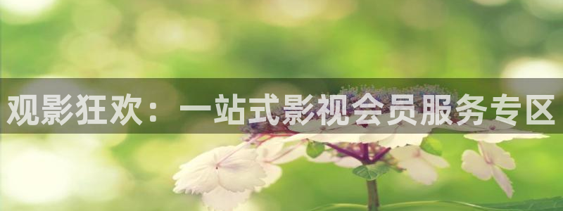 天龙影院电视剧免费观看：观影狂欢：一站式影视会员服务专区